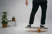 DAFFY Borards Allrounder Balance Board Set mit Korkrolle, Balance Board mit Design Namens "Lion"